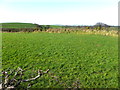 Knockiniller Townland