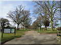 Notice board and avenue of trees in Bourne Park