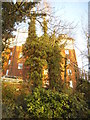 Rear of Brentview House from Brent Park