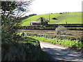 View across a drumlin hollow wetland to the Clara Prayer Union Hall