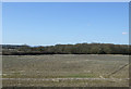 SO9143 : Farmland near Defford by JThomas