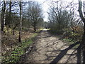 Trans Pennine Trail near Killamarsh