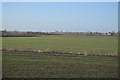 TL5186 : Farmland by Hereward Way by N Chadwick