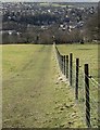 Path down to Honley from Hall Ing