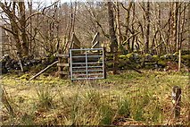 NX5981 : Footbridge on the Southern Upland Way by Billy McCrorie