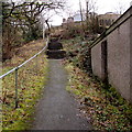 Steps up to Coronation Terrace Croeserw from Cymmer