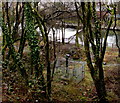 Glimpse of a weir across the River Taff, Pontypridd