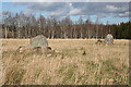 Stoneyfield Stone Circle (1)