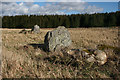 Stoneyfield Stone Circle (3)