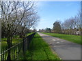 On the Greenway above the Northern Outfall Sewer