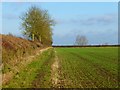 Farmland, Longwick