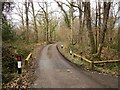 Lane near Coltsfoot Farm