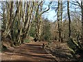 Bridleway, Ashenground Park