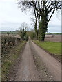 Farm track near Fernhill