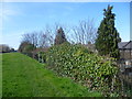 The Greenway above the Northern Outfall Sewer