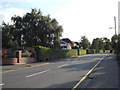 SP1482 : Neat hedges, Rodney Road, Olton by Robin Stott