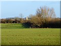 Farmland, Hardwick