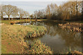 Pond off Fen Road