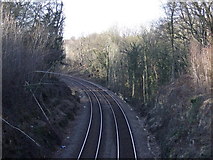 SK5382 : Railway through Anston Stones Wood by JThomas