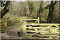 Gate into Great Ridings Wood