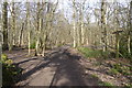 Looking along Old London Road from bridleway junction