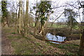 Path passes small pond south west of Blackmoor Farm