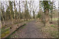 Path through woodland with bend ahead