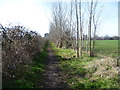 Footpath to Boughton Lane