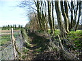 Footpath alongside an earthwork