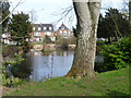 Pond at Theydon Grove