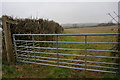 Footpath towards Shaugh Prior