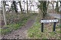 Bridleway parallel with Ockham Road North