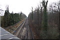 Railway line by The Forest