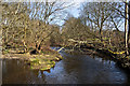 Bradshaw Brook above the weir   