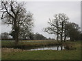 SP6232 : Pond near Widmore Farm by Jonathan Thacker