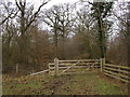 Gate into woodland