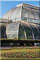 TQ1876 : The Palm House by Ian Capper