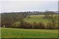 View towards Old Wives Wood