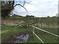 Footpath junction near Nantwich