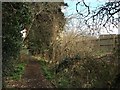 Nantwich: footpath on the edge of Kingsley Village