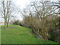 A tributary of the River Roding at Debden