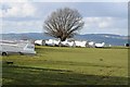 Gliders at Black Mountains Gliding Club