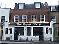 The Hop & Berry, Islington