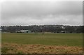 Playing fields at Riverside