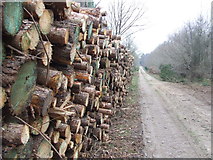 TM4052 : Pile Of Logs by Keith Evans