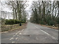 Bay Horse Lane - viewed from Ling Lane