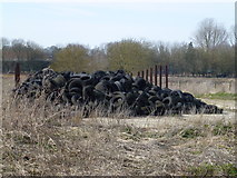 TF9226 : High on mileage, low on silage - Old tyres in Norfolk by Richard Humphrey