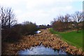 Ridgacre Canal, Black Lake, West Bromwich