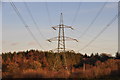 West Somerset : Pylon & Field