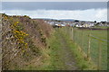 SH5185 : Anglesey Coast Path by N Chadwick